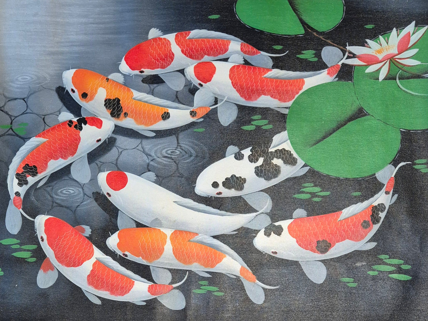 Koi Serenity