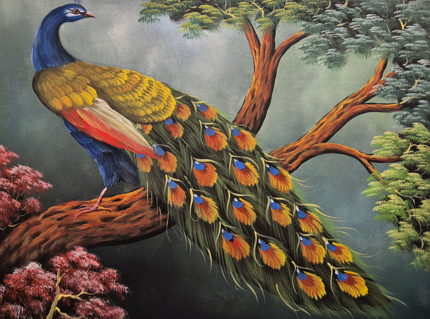 Majestic Peacock