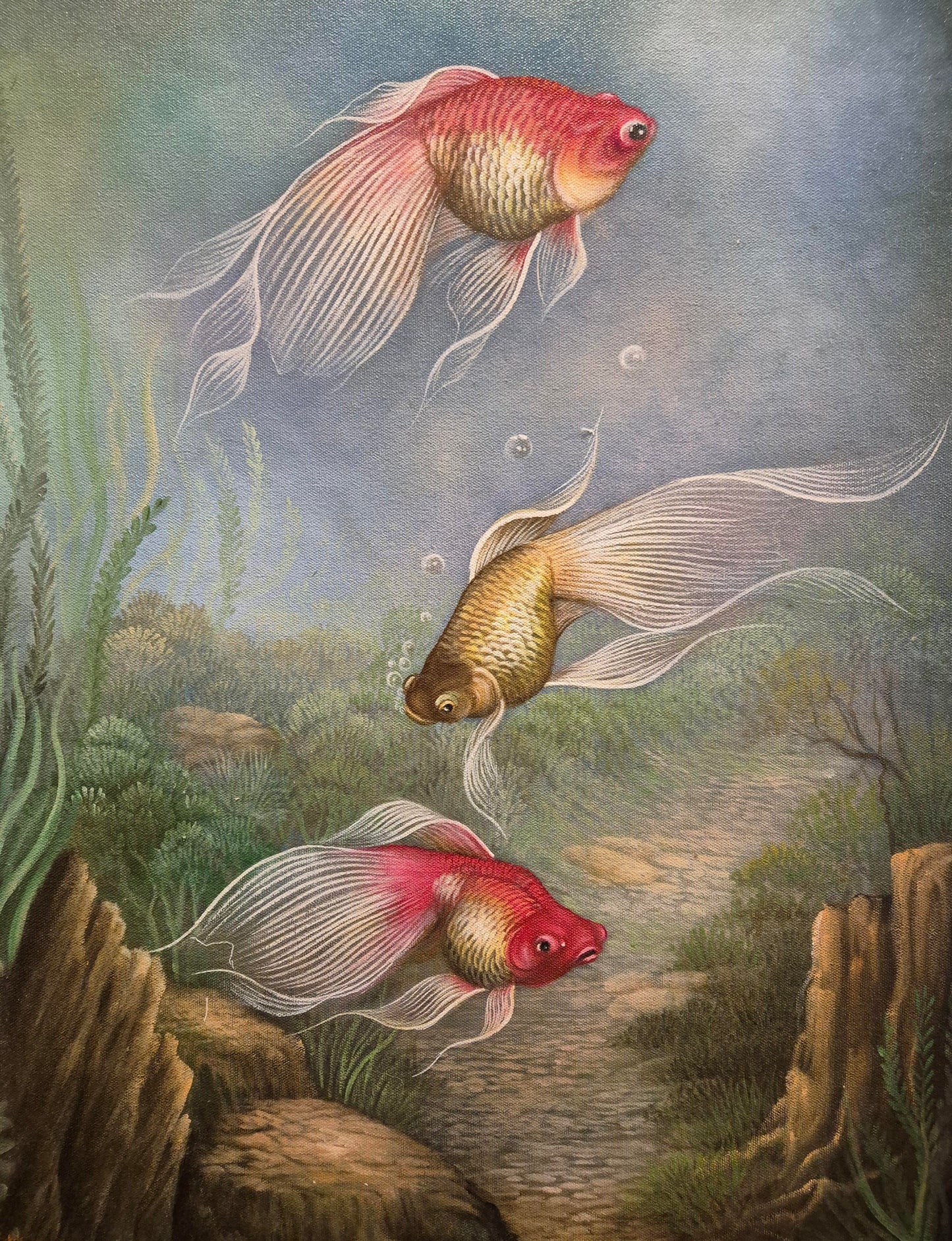 Fins of Fortune