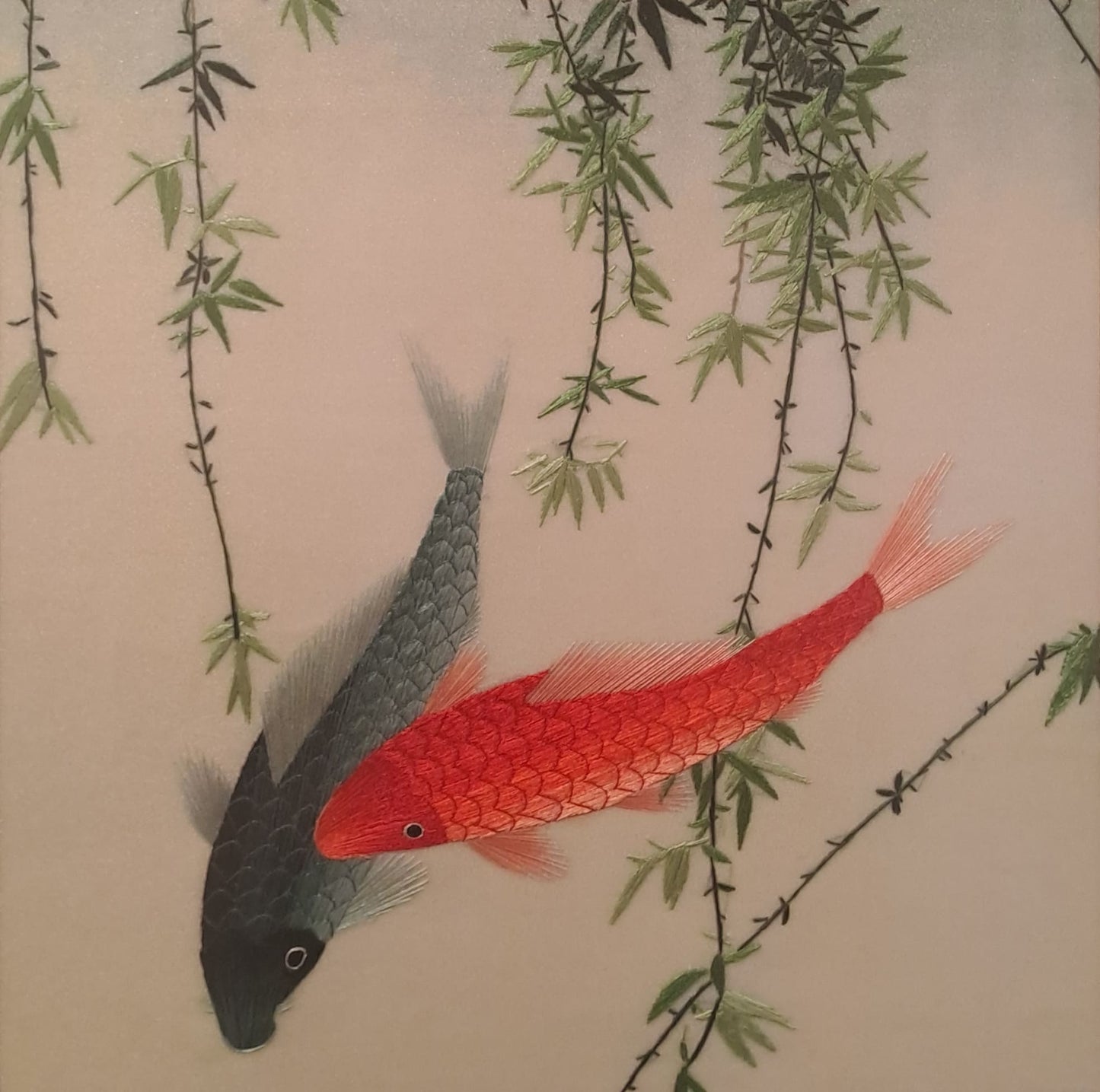 Koi Fish