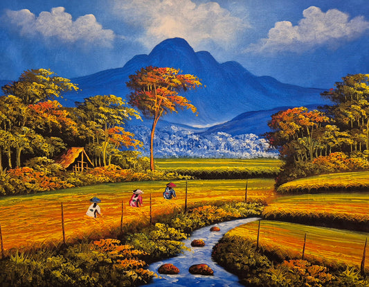 Morning in the Rice Field